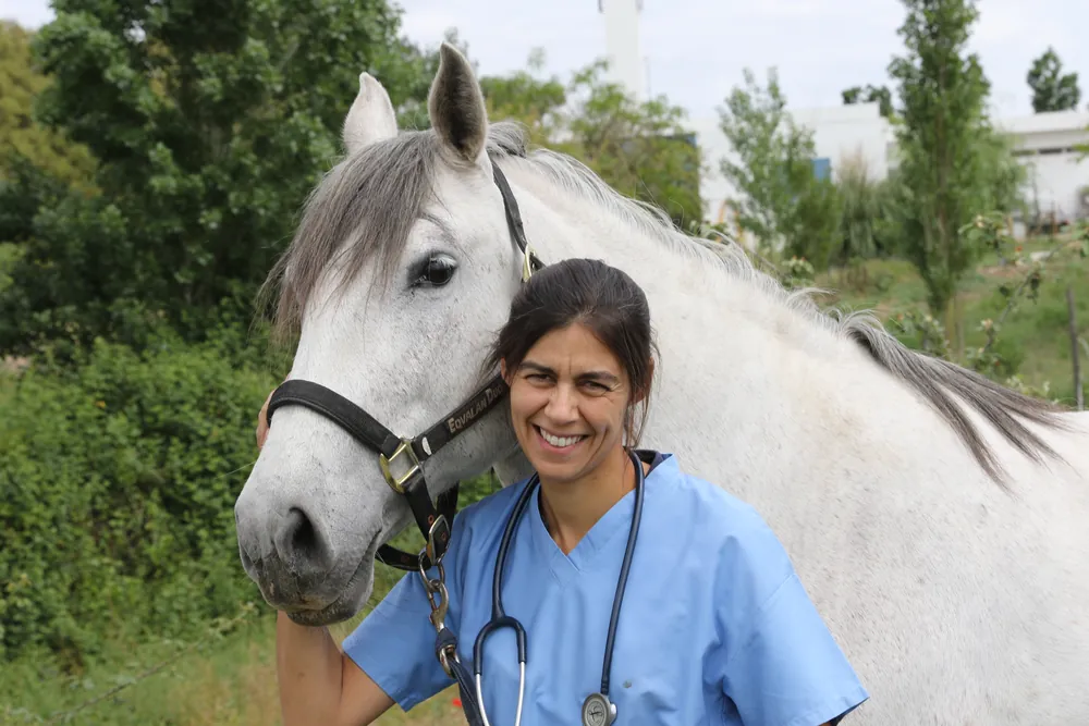 Dra. Ana Rasquinho, diretora clínica da Fidalvet, de farda azul e estetoscópio, sorridente ao lado de um cavalo branco, num campo verde