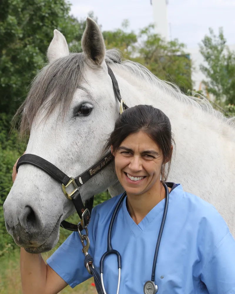 Dra. Ana Rasquinho, diretora clínica da Fidalvet, de farda azul e estetoscópio, sorridente, com a cabeça de um cavalo branco ao lado