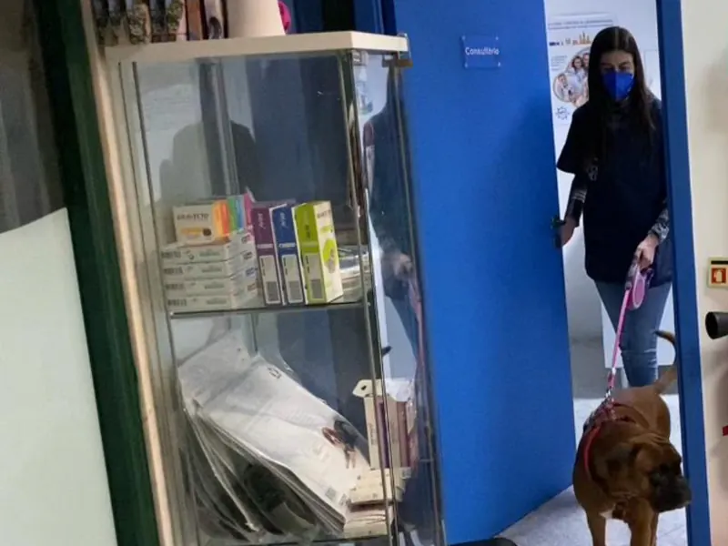 Corredor da clínica e porta do consultório, com um cão a entrar