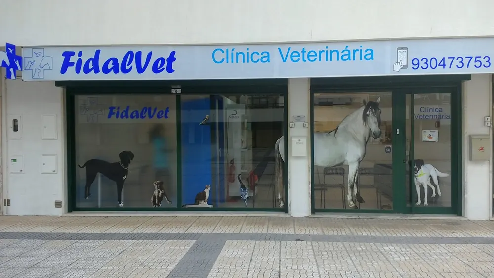 Fachada da clínica Fidalvet, com montras decoradas com silhuetas de cão, gato e cavalo