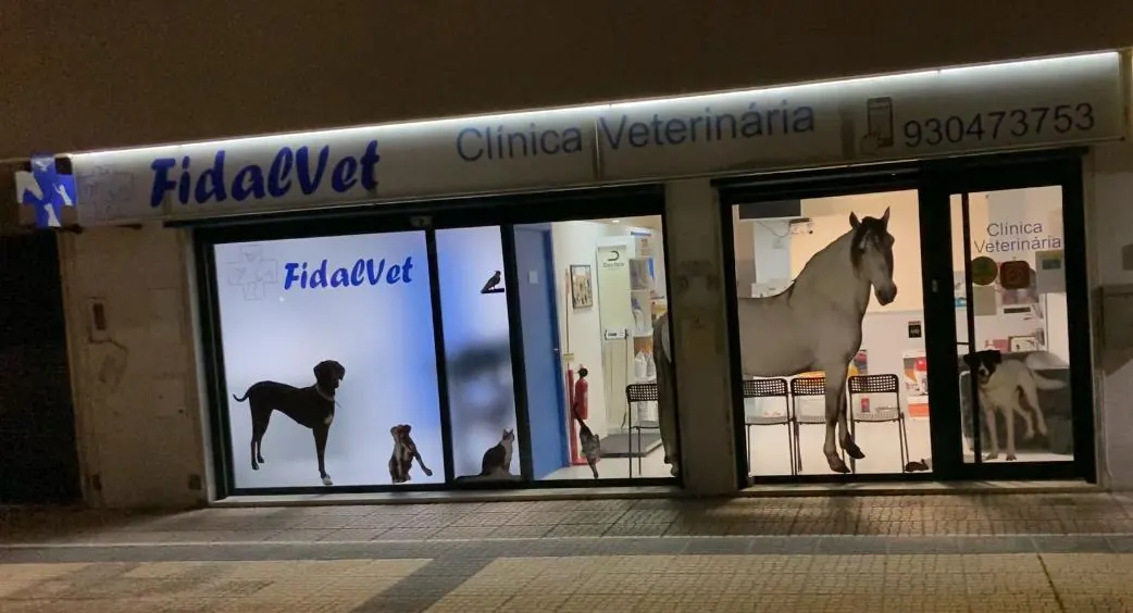 Fachada da clínica Fidalvet iluminada à noite