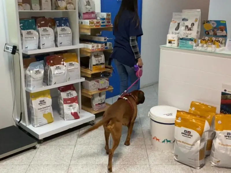 Receção da clínica Fidalvet, com prateleiras de alimentação para cães e gatos
